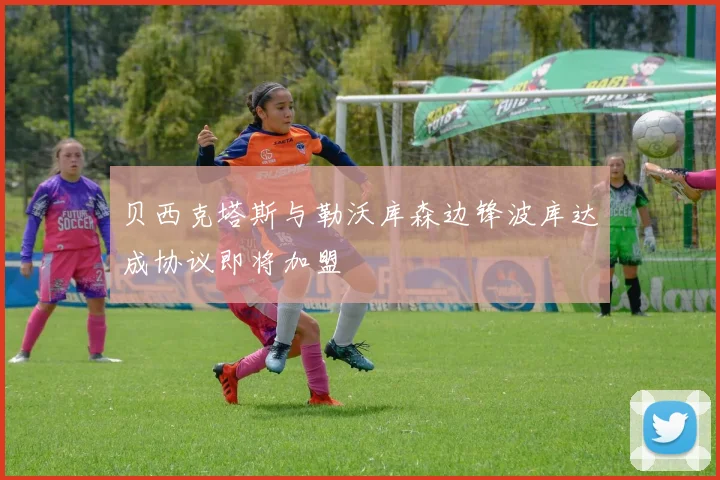 贝西克塔斯与勒沃库森边锋波库达成协议即将加盟